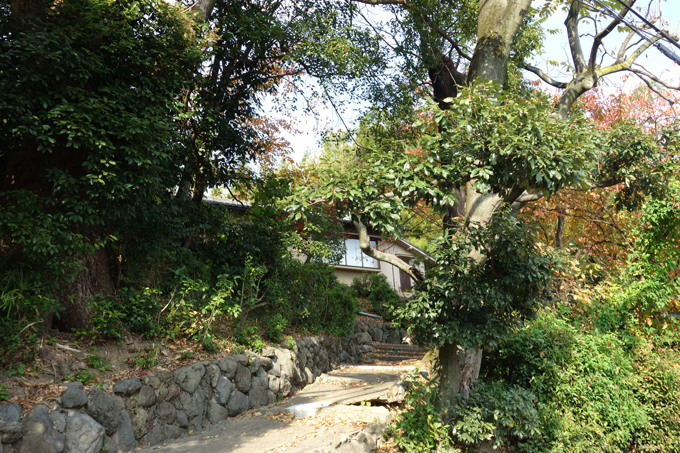 DSC02452.JPG