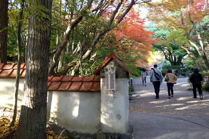 DSC02461.JPG