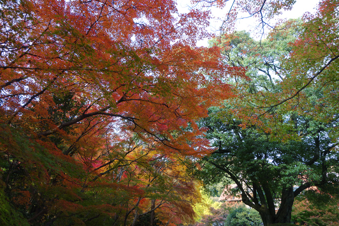 DSC02462.JPG