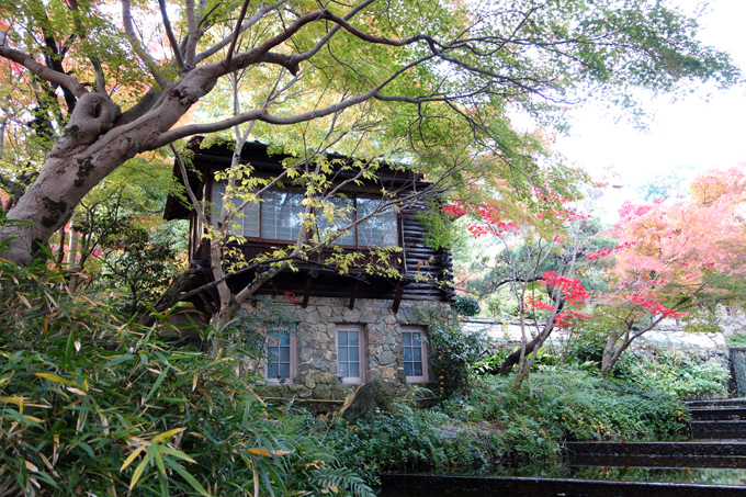 DSC02471.JPG