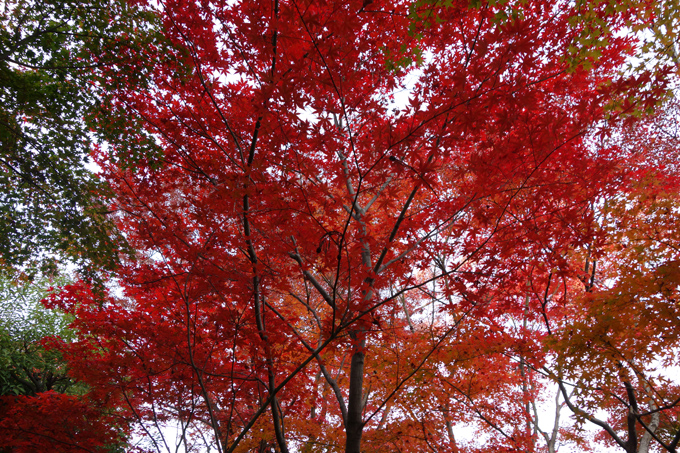 DSC02474.JPG