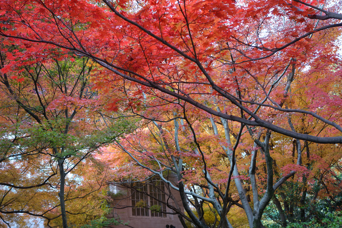 DSC02480.JPG
