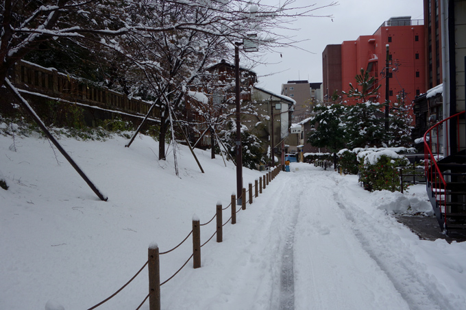 DSC02715.JPG