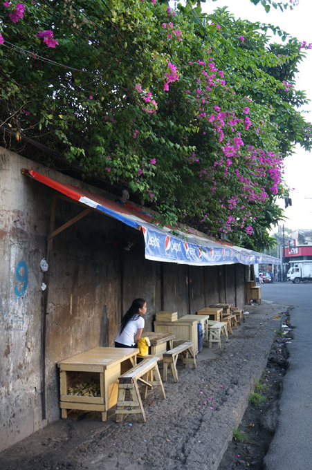 DSC03687.JPG