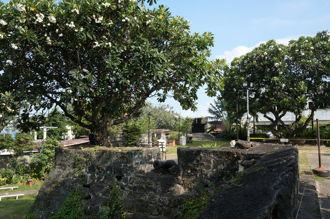 DSC03898.JPG