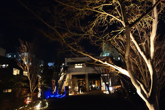 DSC03872.JPG