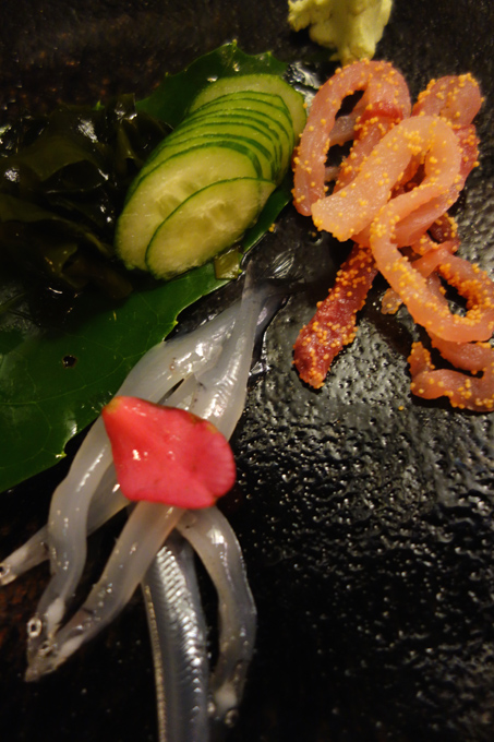 DSC04113.JPG