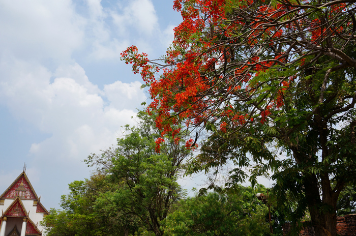 DSC00765.JPG