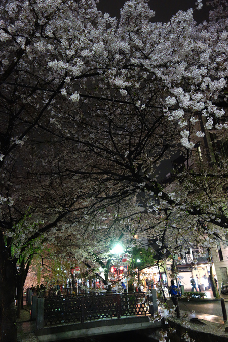 DSC05848.JPG