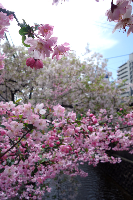 DSC05873.JPG