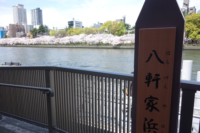 DSC05877.JPG