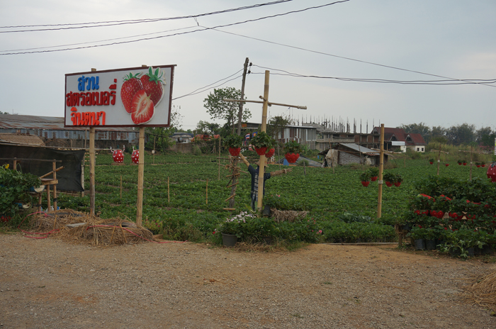 DSC05085.JPG