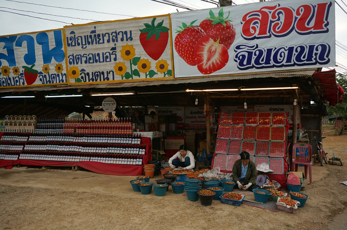 DSC05086.JPG