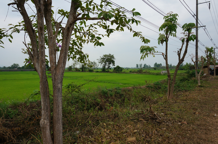 DSC05094.JPG