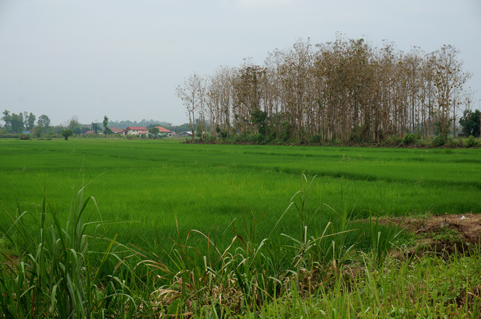 DSC05095.JPG