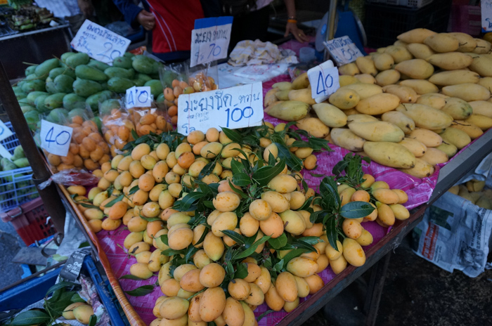 DSC05019.JPG