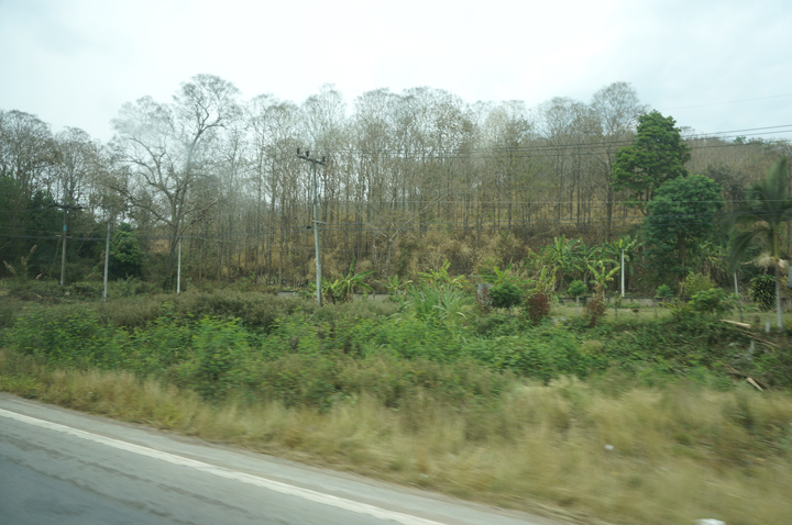 DSC05186.JPG