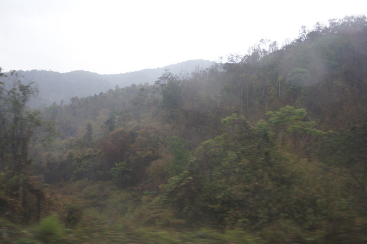 DSC05221.JPG
