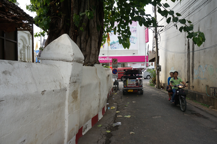 DSC05269.JPG