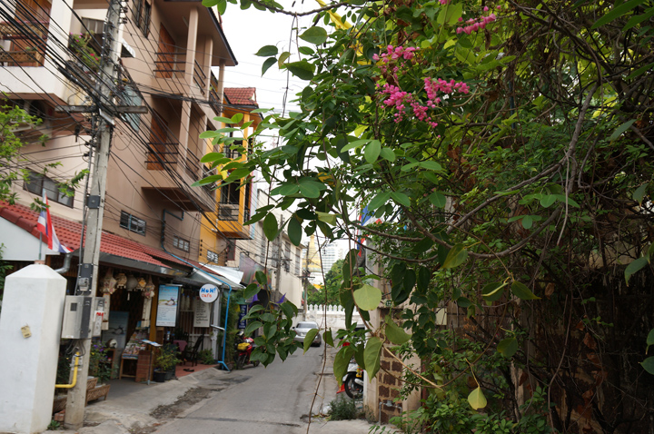 DSC05347.JPG