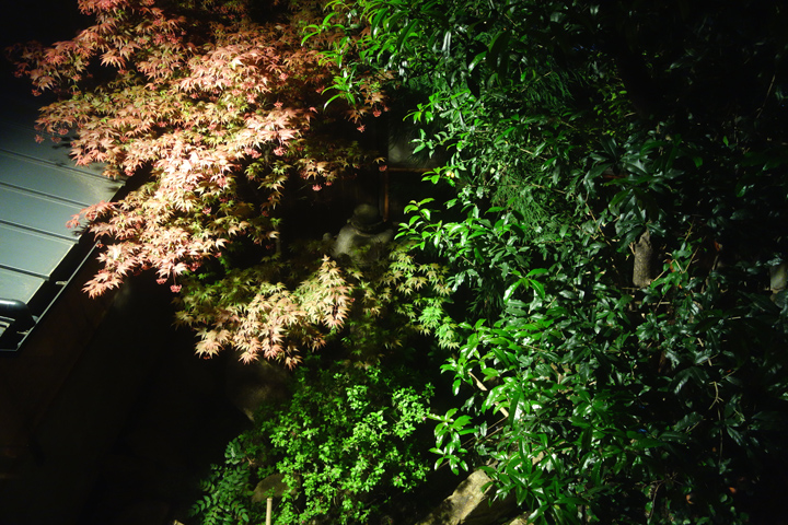 DSC05962.JPG