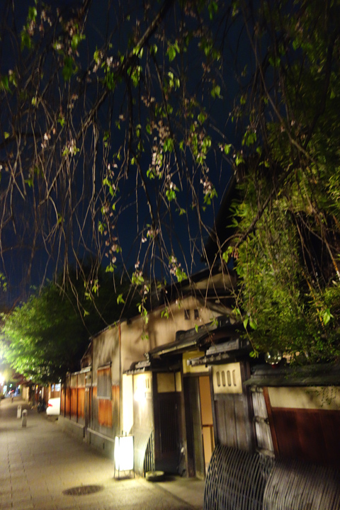 DSC06043.JPG