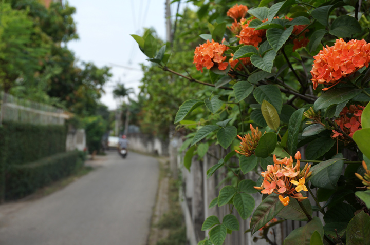 DSC05387.JPG