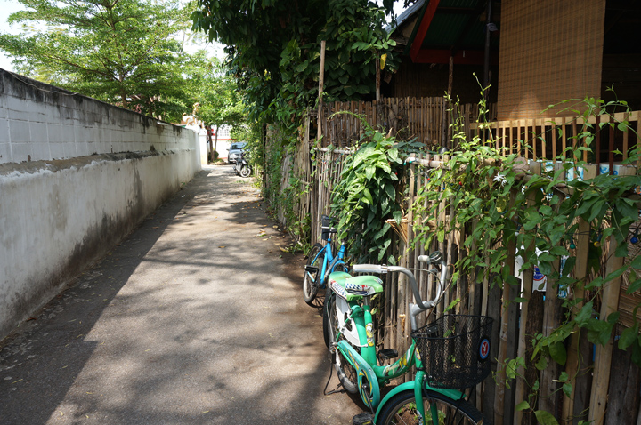 DSC05419.JPG
