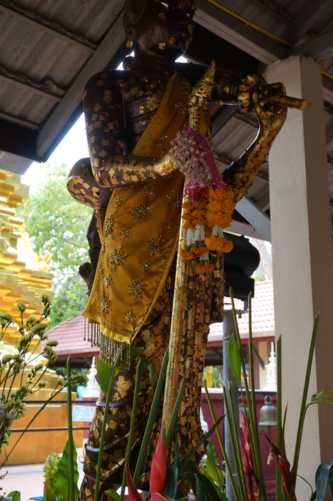 DSC05552.JPG