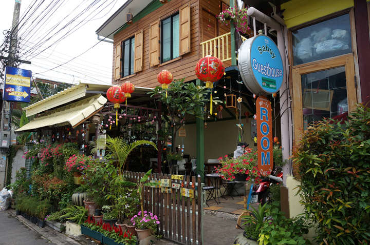 DSC05570.JPG