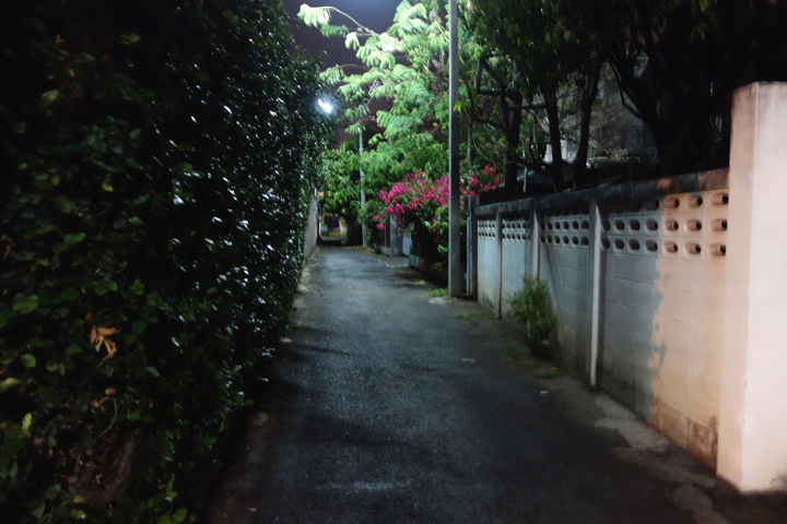 DSC05111.JPG