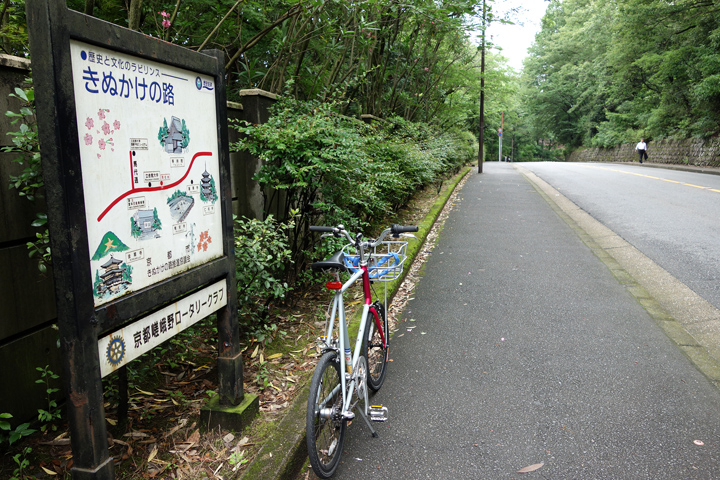 DSC06260.JPG