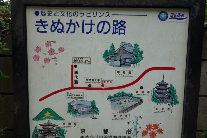 DSC06261.JPG