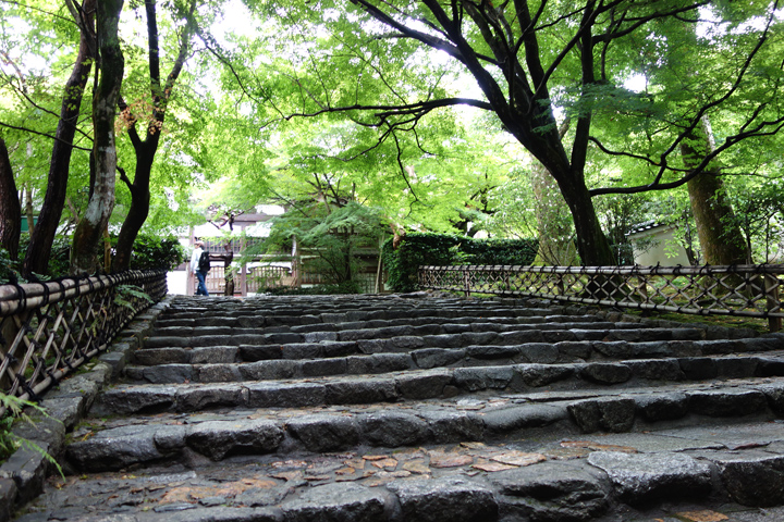 DSC06270.JPG