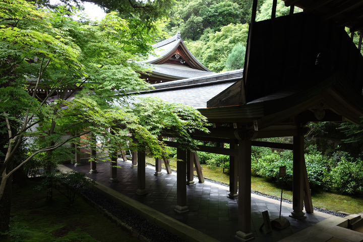DSC06275.JPG