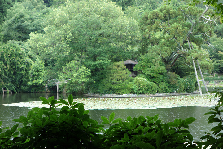 DSC06292.JPG