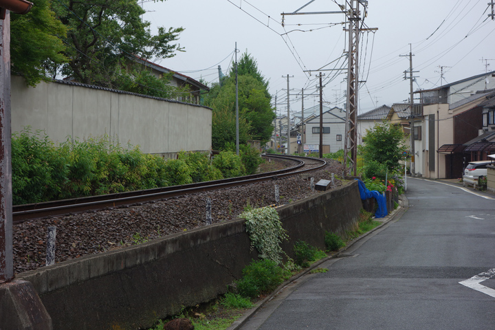 DSC06296.JPG