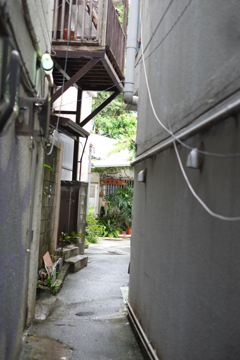 DSCF3384.JPG