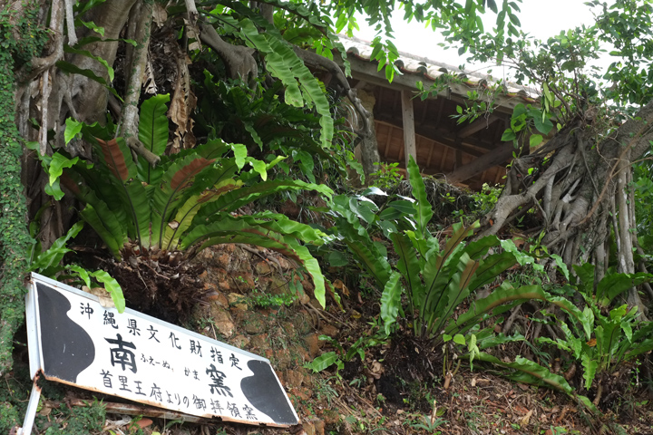 DSCF3393.JPG