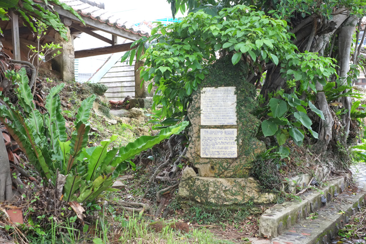 DSCF3394.JPG