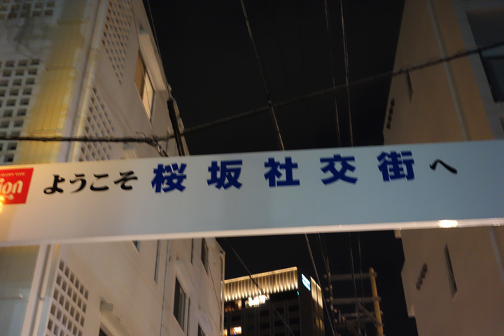 DSC06530.JPG
