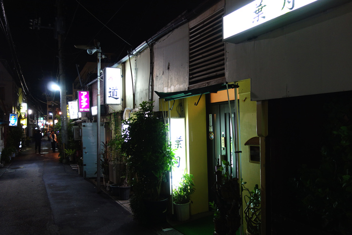 DSC06531.JPG