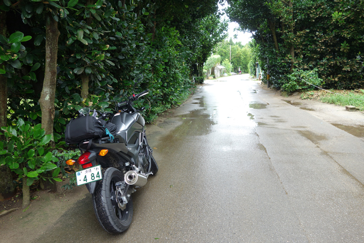 DSC06626.JPG