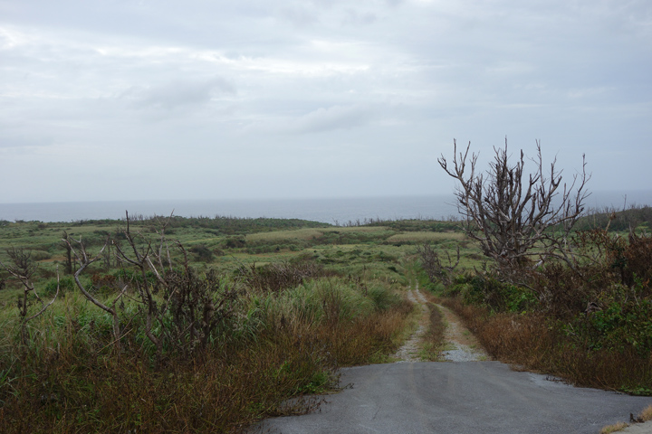 DSC06665.JPG