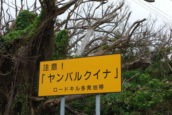 DSC06673.JPG