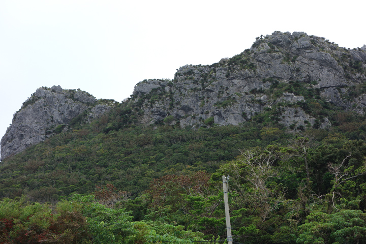 DSC06675.JPG