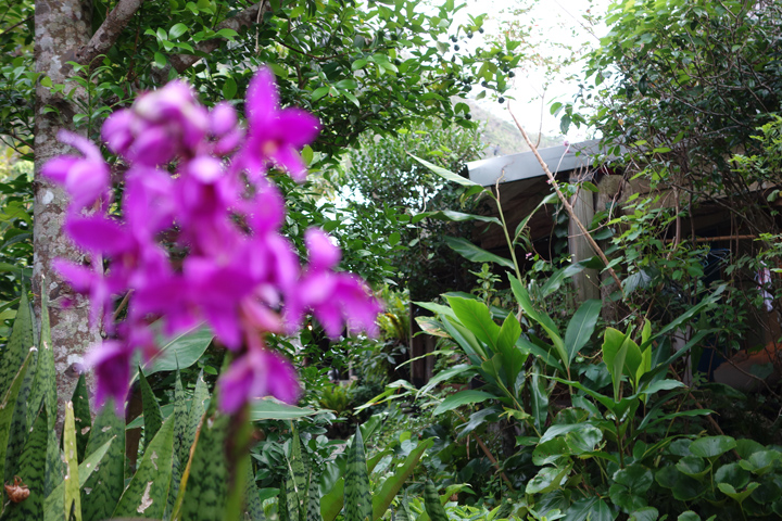 DSC06698.JPG