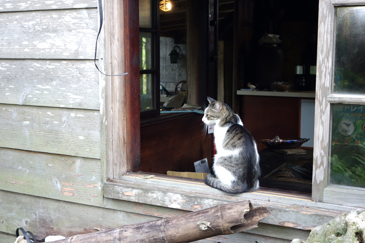 DSC06700.JPG