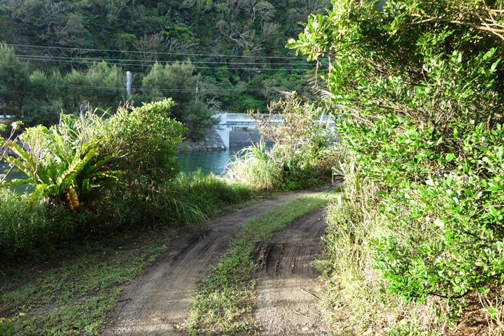 DSC06730.JPG