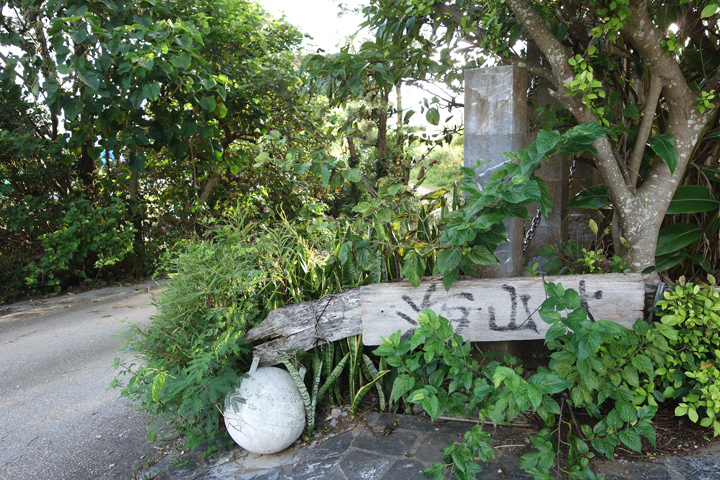 DSC06736.JPG
